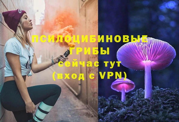 меф Мегион