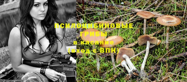 спайс Михайловск